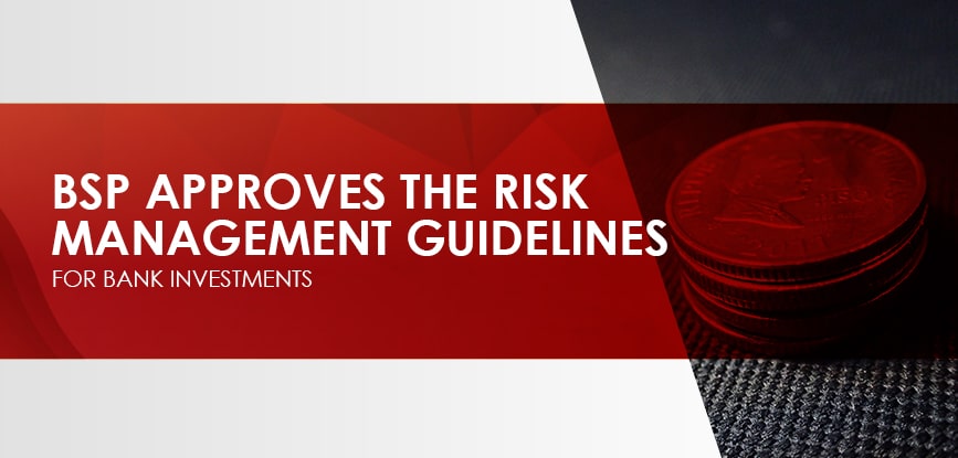 Risk Management Guidelines-min
